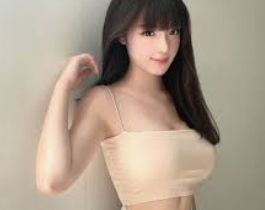 基础方案指南